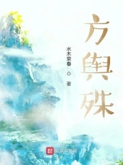 方舆胜览书籍封面图片